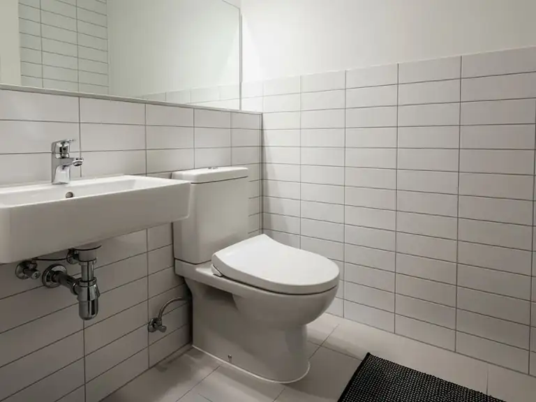 loo
