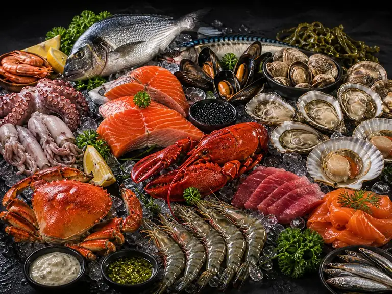 Fish & Seafood на английском