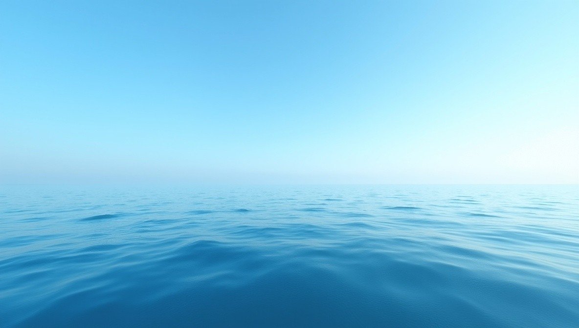 Meer